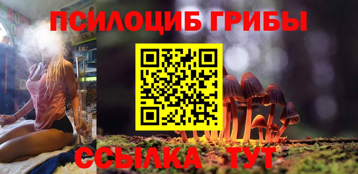 Галлюциногенные грибы мухоморы Курчатов