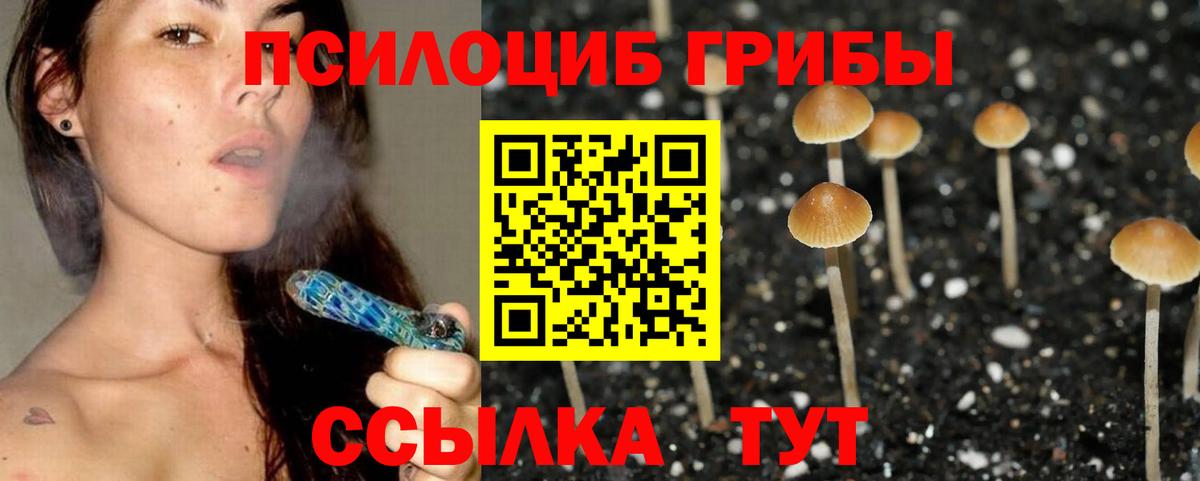 закладки  Вход с VPN  Курчатов  Псилоцибиновые грибы мухоморы 