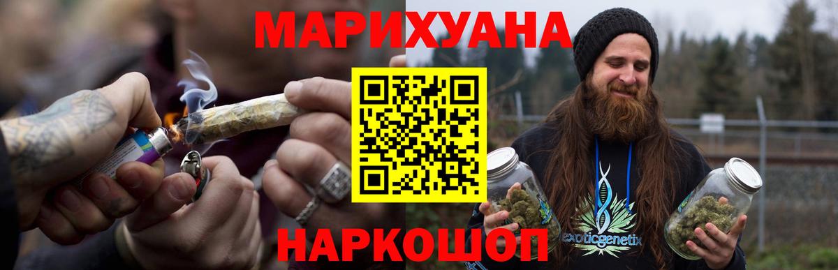 Каннабис план Курчатов